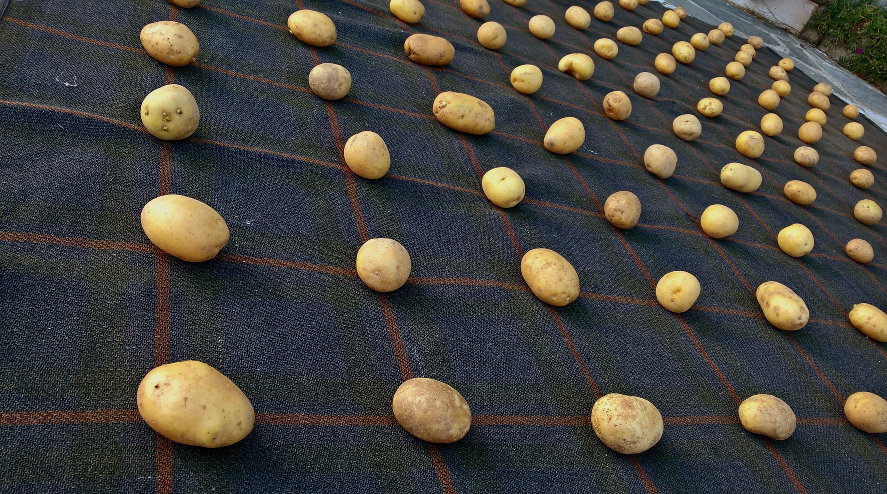 paola zorzi_similitudine_arte contemporanea