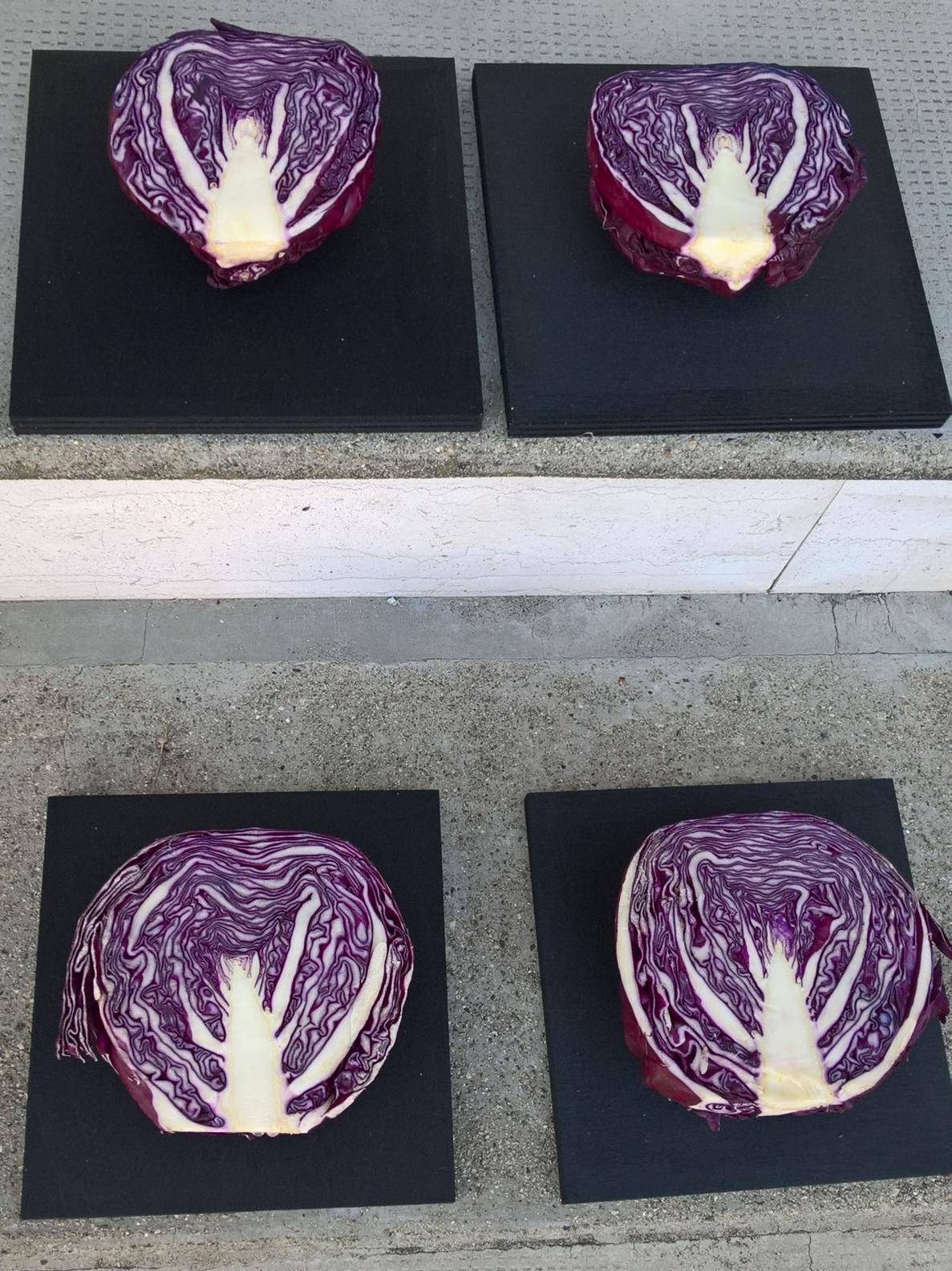paola zorzi_similitudine_arte contemporanea